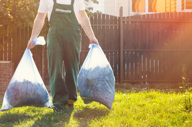 Yard Cleanup Services in Lakeview, CA