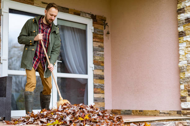 Best Trash Removal Near Me  in Lakeview, CA